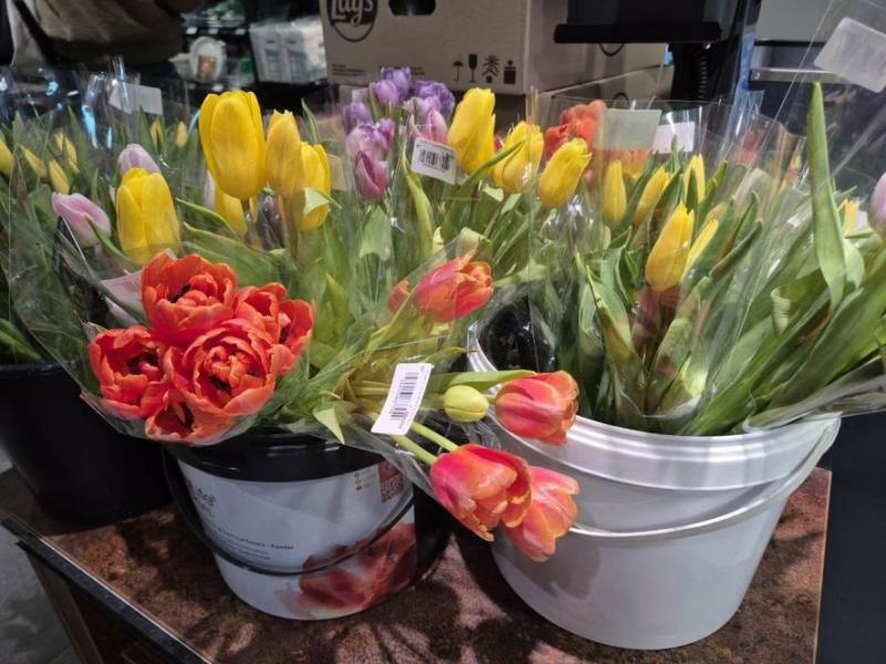 Незважаючи на трагічні події в Харкові, місто переживає справжній квітковий бум.