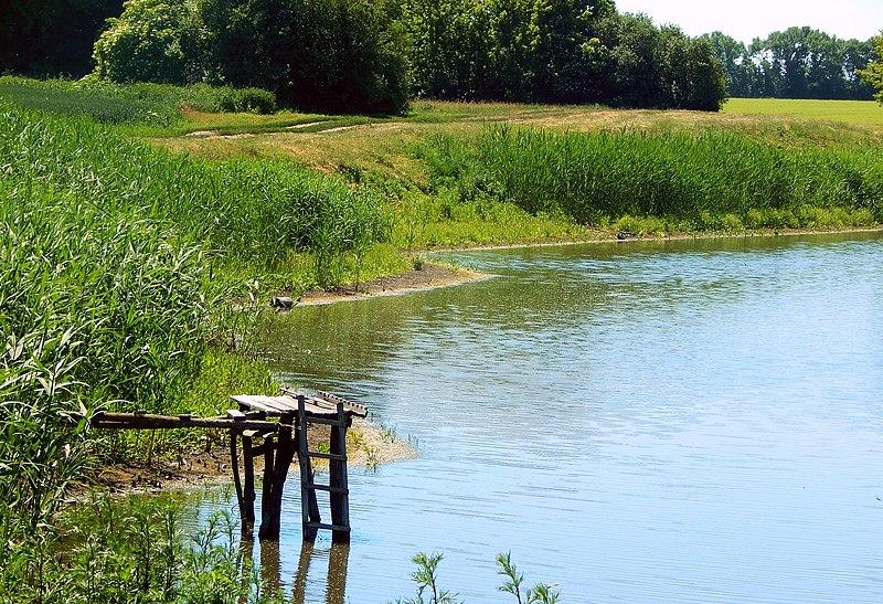 У ставку в Ізюмському районі Харківської області трагічно загинули дві жінки - Новини Весь Харків.