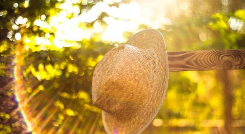 Літній період в Україні підійде до кінця з потужними спекотними температурами, які можуть сягати +35° (дивіться карту).