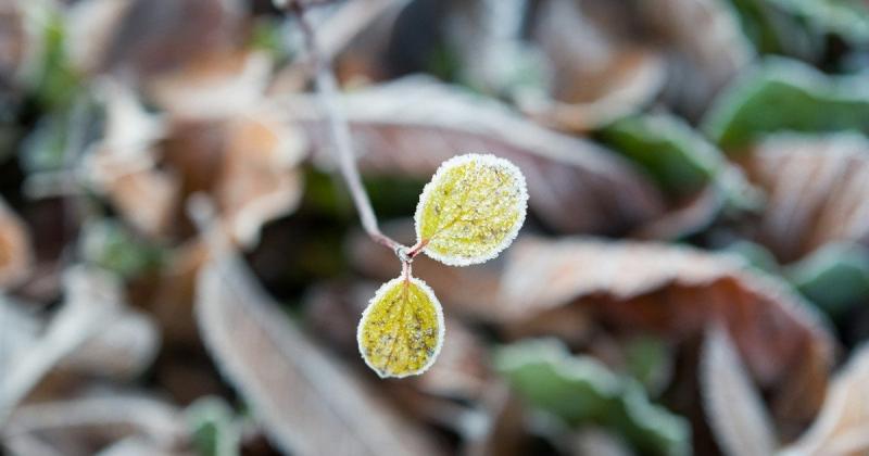 Прогноз погоди на листопад: неочікувані прогнози метеорологів - чи накриє Україну снігова покривка?