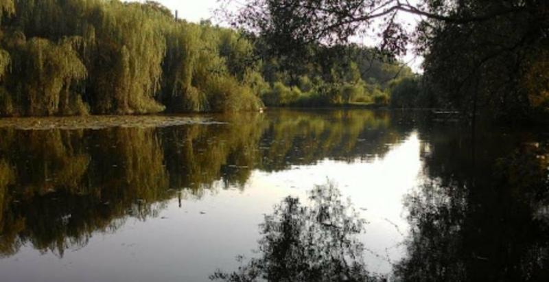 Прокуратура повернула лісові угіддя в околицях Харкова, які були приватизовані три десятиліття тому.