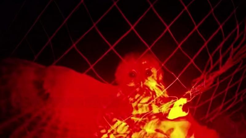 Бійці Полку поліції особливого призначення в Харківській області врятували сову, яка застрягла в антидроновій сітці. - Новини Весь Харків