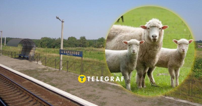 Що спільного між вівцями та цим селом? У одного села поблизу Харкова є цікава та 
