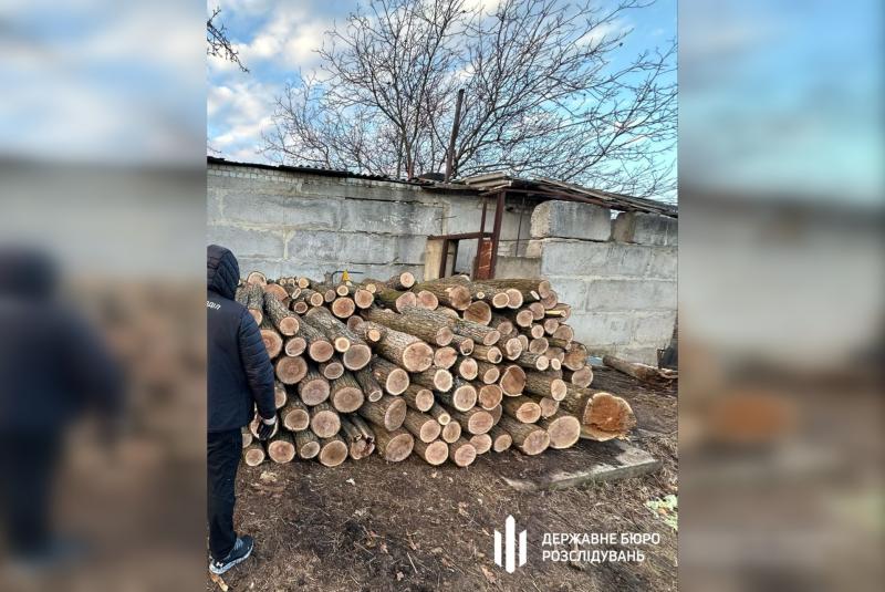 В Харківській області розпочато судовий процес щодо незаконної вирубки лісу, що відбулася під захистом посадової особи. Сума завданих збитків складає 12 мільйонів гривень. - Новини Весь Харків.