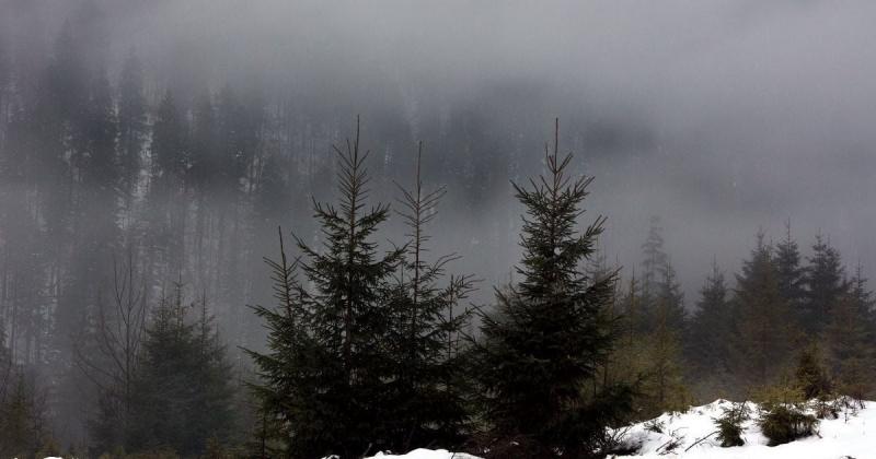 Подвійний вплив природних явищ охопить Україну: на центральні регіони насуваються повені, тоді як із північних широт приходить антициклон — таке повідомлення від синоптиків.