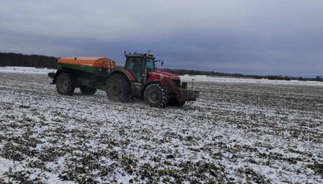 Сніг відіграв важливу роль: метеоролог пояснила, як зимові рослини пережили лютневі холоди.