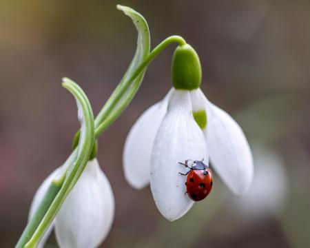 Метеорологи обновили свои предсказания на четверг.