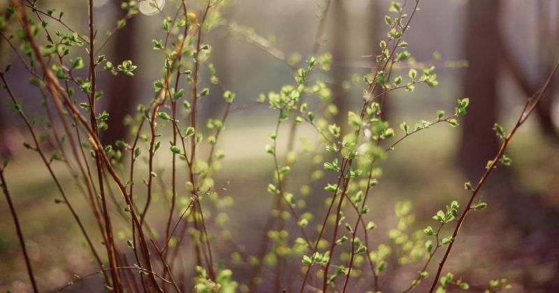 Метеорологи оголосили про очікувані зміни в погодних умовах України: в деяких регіонах температура підніметься до +18 градусів, тоді як в інших варто подумати про тепліший одяг.