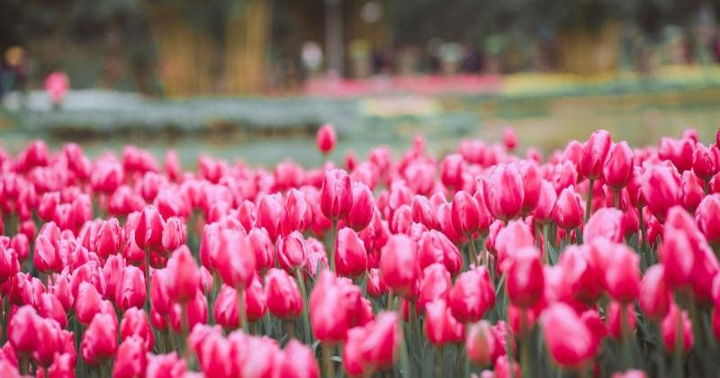 Повернення 