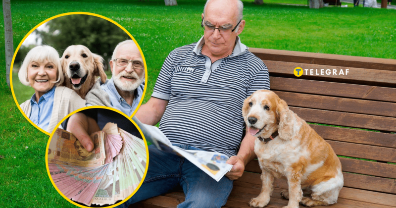 Пенсіонери мають можливість отримати додатковий дохід: у Харкові шукають працівників, які обожнюють собак.