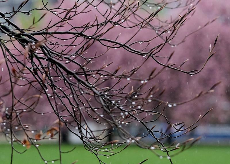 Дощі покриють більшість території України.