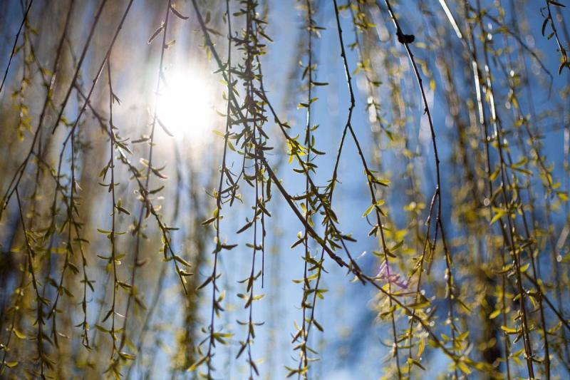 Тепло або прохолода: які погодні умови прогнозують на найближчий час.