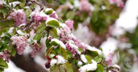 В Україні знову очікуються значні морози: в яких регіонах та коли температура різко знизиться.