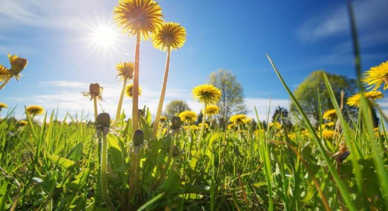 25 квітня в Україні раптово настане потепління.